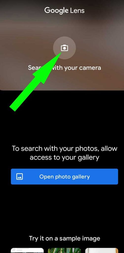 Search with your Camera button