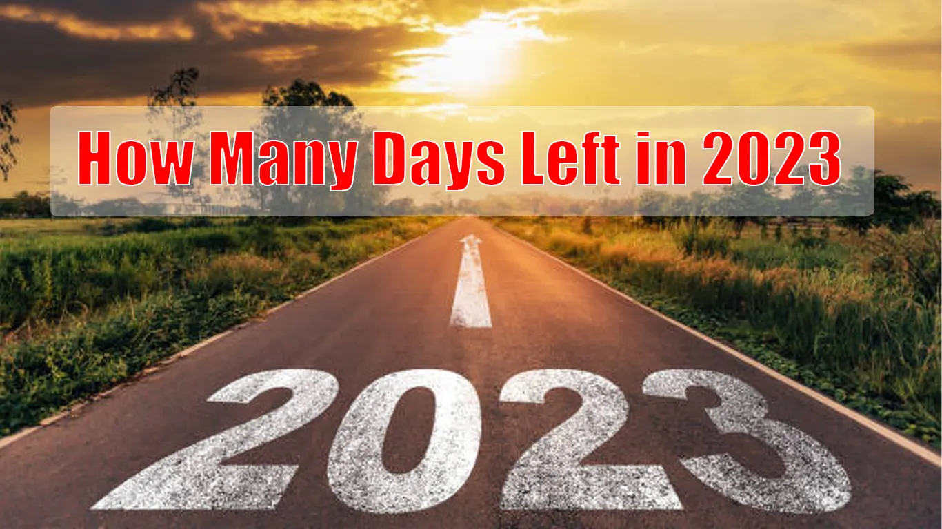 How Many Days Left in 2023? Countdown, Number of Days Left Until 2023